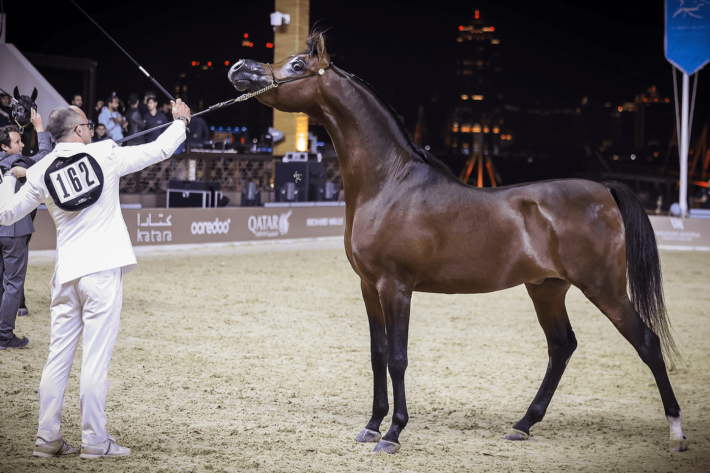 LR Anselmo | 🔛%👤 - EBT Shop