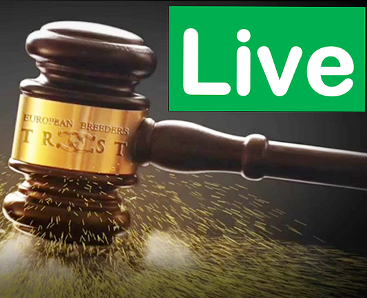 LR Solo Mio Breeding Right | 🔛%👤