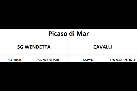 Picaso di Mar | 🔛%👤 - EBT Shop