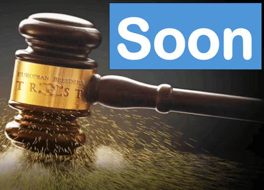 LR Solo Mio Breeding Right | 🔛%👤 - Boutique EBT