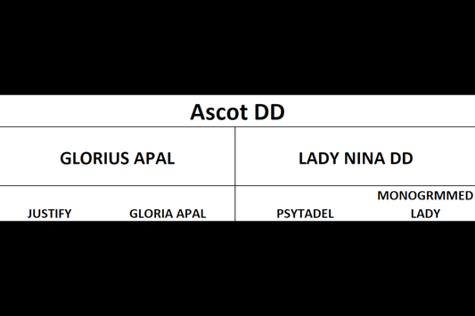 Ascot DD | 🔛%👤 - EBT Shop