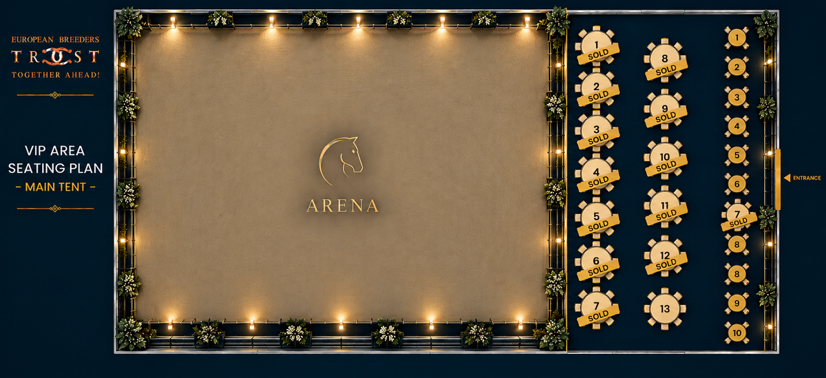 Premium VIP Table
