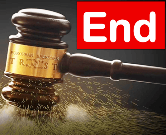 Cyclone OS | 🔛%👤 - EBT Shop