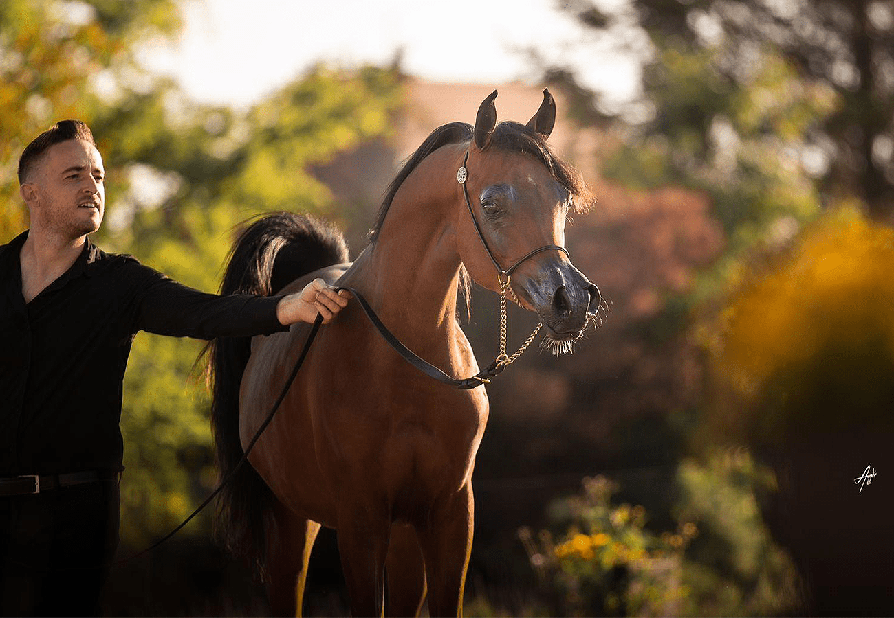 Exxon MA | 🔛%👤 - EBT Shop