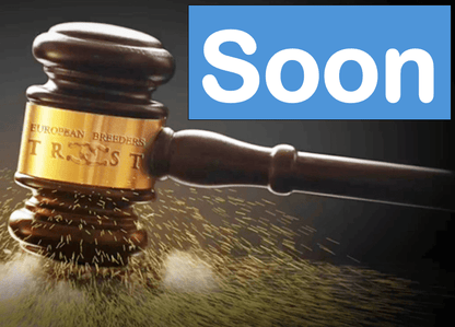 LR Solo Mio Breeding Right | 🔛%👤 - EBT Shop