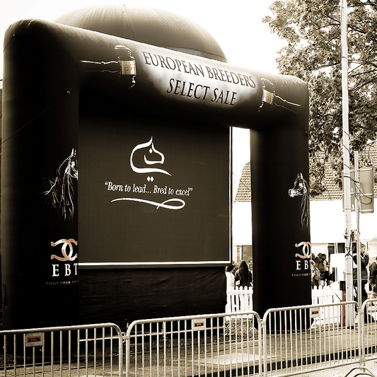 Anzeigetafel - Banner 🔛%👤 - EBT Shop