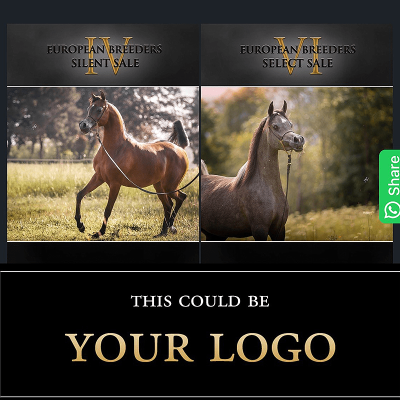 Webseite - Banner 🔛%👤 - EBT Shop