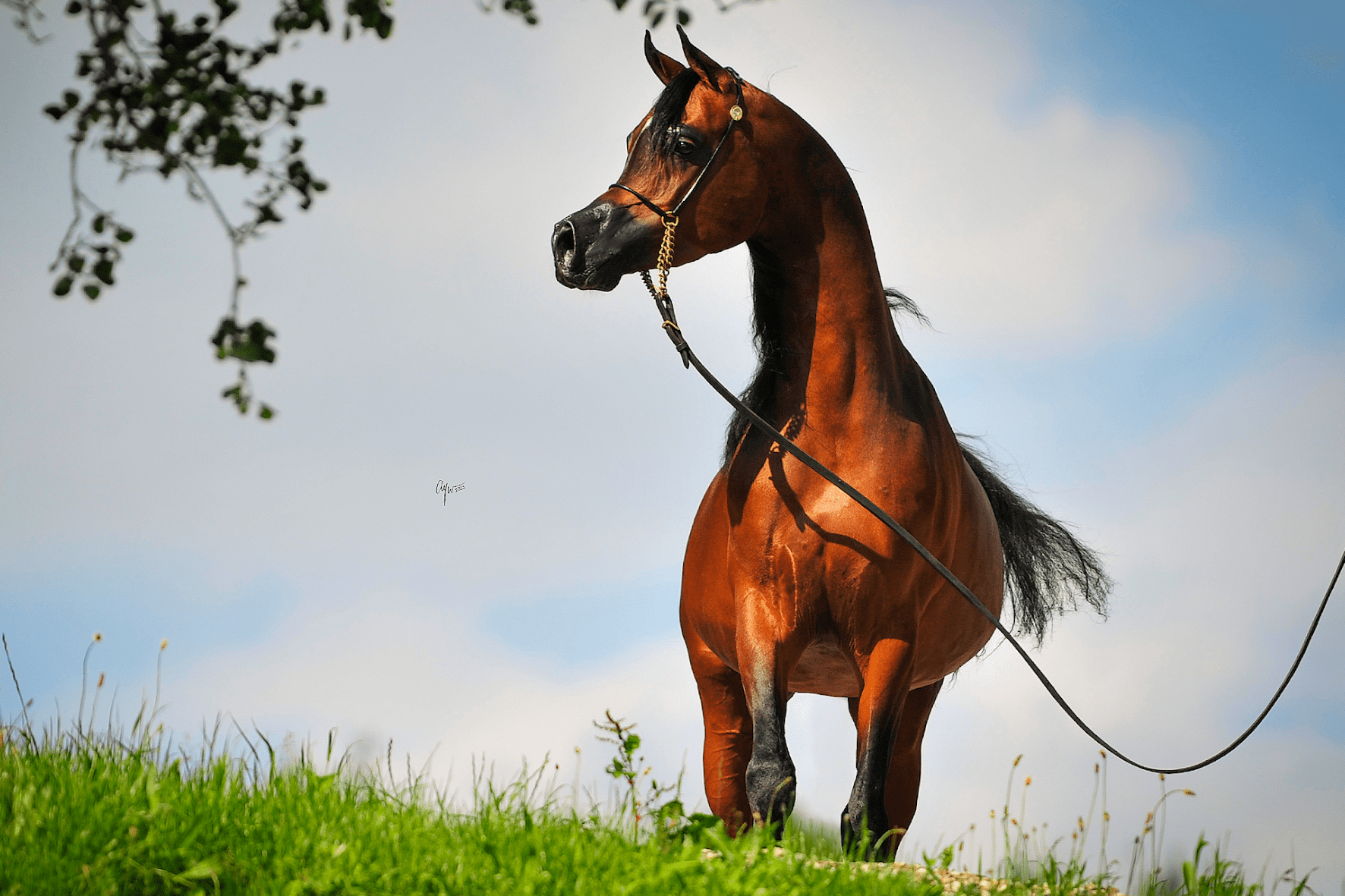 Rate and Win - EBT Shop