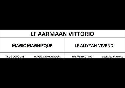 LF Aarmaan Vittorio Breeding Right | 🔛%👤 - EBT Shop