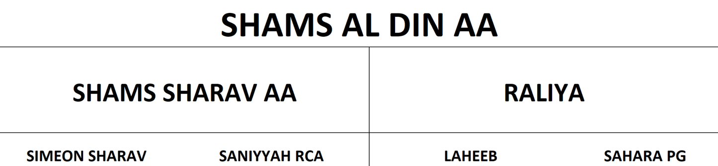 Shams Al Din AA Breeding Right | 🔛%👤 - EBT Shop